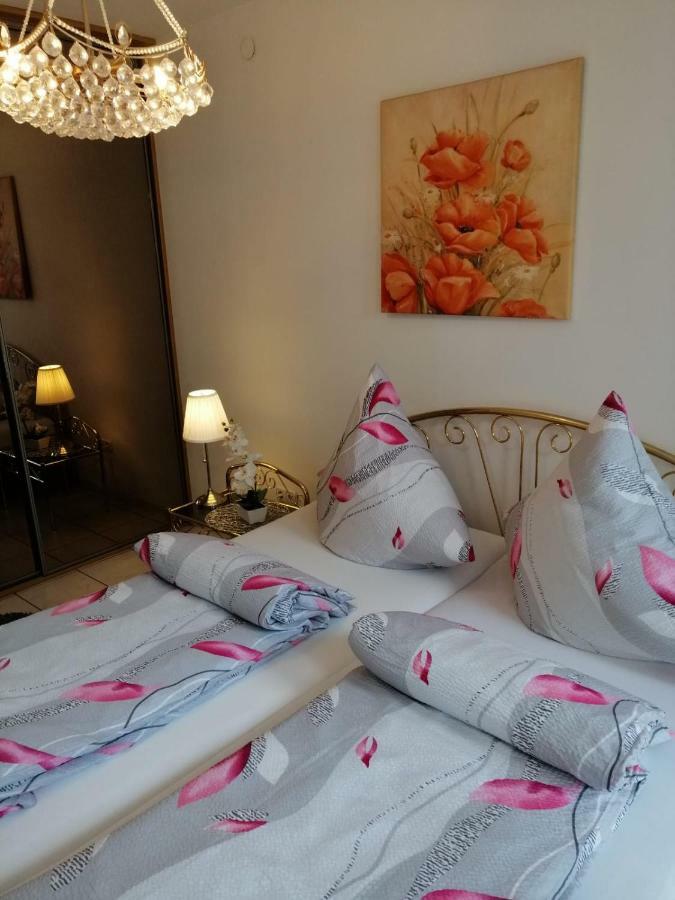 Apartament Paradise ミエンジズドロイェ エクステリア 写真